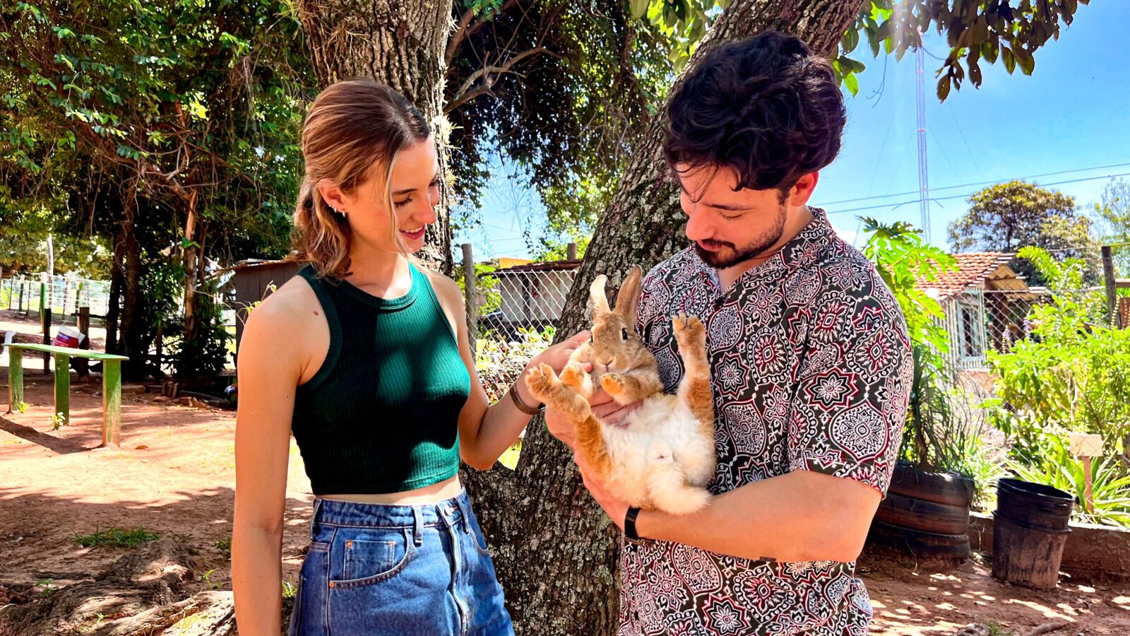 Turismo de experiência: Fazendinha